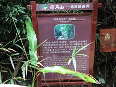 -南丹山森林王国