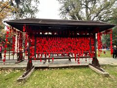 -建水文庙