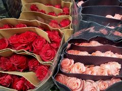 -循礼门鲜花花市(武汉循礼门店)