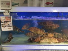 水产区-盒马鲜生(岭南新世界店)