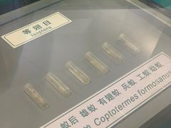 -上海昆虫博物馆