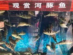 -肆月河豚·新淮扬(金融街店)