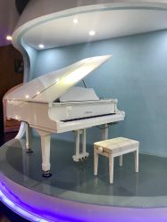 -比华利美容医院