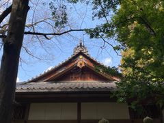 -奈良公园
