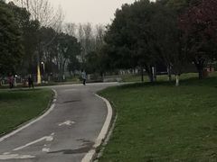 -后襄河公园