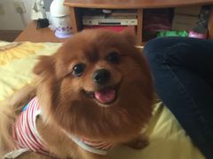 -酷狗靓猫宠物·洗护·美容·寄养(航北路店)