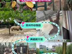 -郑州市动物园