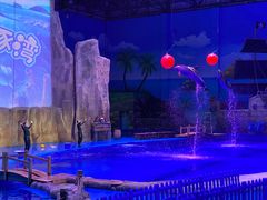 -华夏文旅海洋公园