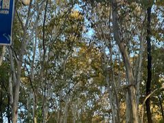 -毛氏汽水包(山海关路店)