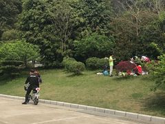 -云溪植物园