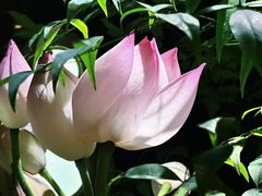 -Love Story爱情故事·养生SPA会所(新侨店)