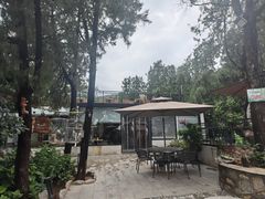 -蘇河湾·新鲁菜·泰山宴(泰山店)