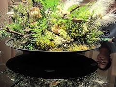 -桂满陇·海市蜃楼·黑金(国金店)