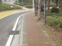 -瑶湖郊野森林公园