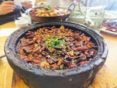 -陈麻婆豆腐总店
