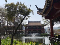 -顺峰山公园