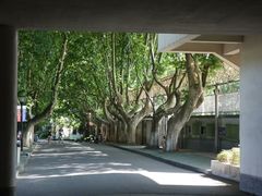 -浙江大学(玉泉校区)