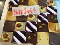 -维尔纳斯·生日蛋糕动物奶油冰淇淋蛋糕(人大店)