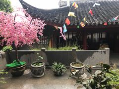 -鸡鸣赐茶(鸡鸣寺路店)