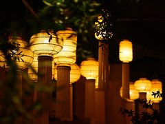 -叶叶菩提·晋福宫