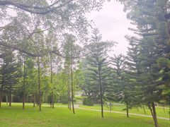 -东莞植物园