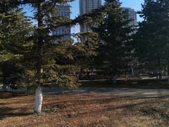 -长白岛森林公园