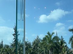 -同禧荟·港味海鲜火锅·粤菜(三亚湾店)