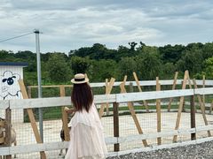 -军山湖云水间生态农业旅游景区