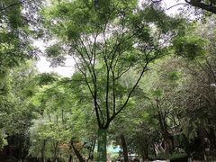 -五凤溪古镇
