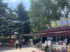 -大连森林动物园