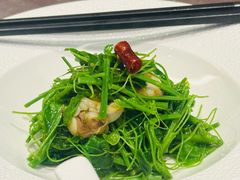 -九里云松·天香餐厅