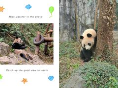 -红山森林动物园