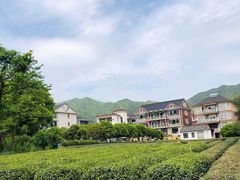 -龙坞茶村