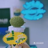 湛江探店｜实现榴莲自由的饮品🧃来啦！