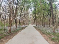 -廊坊市自然公园