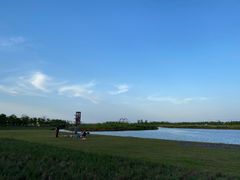 -春花秋色城市公园