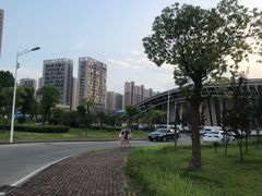 -武钢体育中心恒温游泳馆