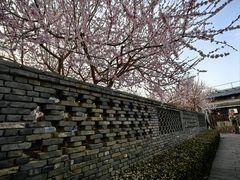 -三里河公园