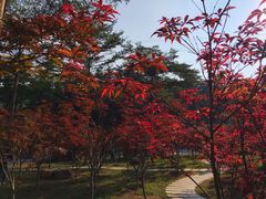 -广州市帽峰山景区