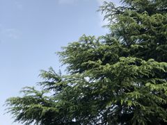 -四宜糕团店(南大街店)