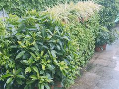 -百味馆·粤菜·湛江菜(后海花园店)