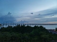 -宝安西湾红树林湿地公园