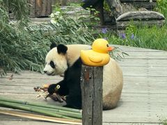 -大连森林动物园