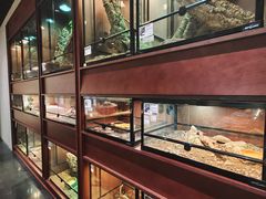 -帕帕拉兹宠物(亚洲旗舰店)