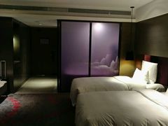 -南京禄口机场雅高铂尔曼大酒店