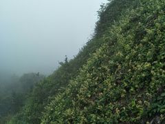 -七仙岭温泉国家森林公园