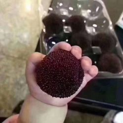 -单色舞蹈