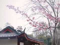 -堤角公园