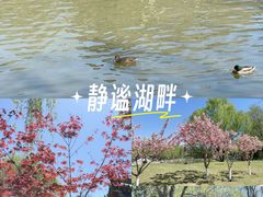 -中国农业博物馆