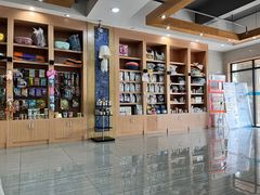 -瑞派名望志远动物医院·猫科·內科·异宠专科(直港大道店)
